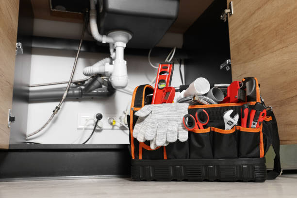 Best Local Plumber Services  in Ogden, IA