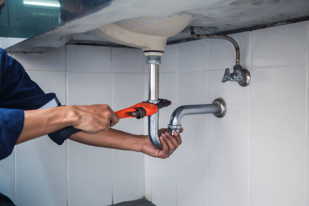 Best Plumbing Inspection Services  in Ogden, IA