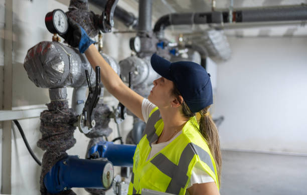 Best Best Plumbers Near Me  in Ogden, IA