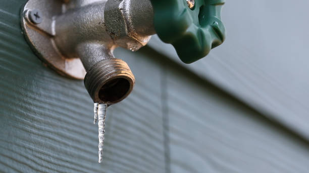 Best Plumbing Repair Near Me  in Ogden, IA