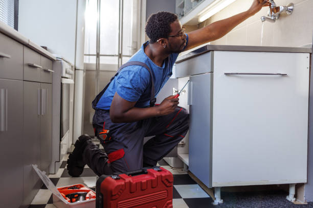 Best Water Softener Installation  in Ogden, IA