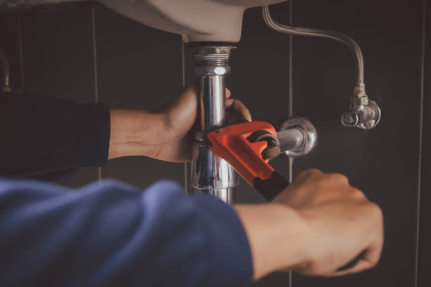 Best Leak Detection Services  in Ogden, IA
